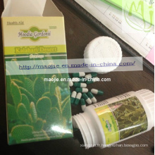 2014 chaud vente Hoodia Gordoniiweight perte Capsule (MJ-HD 40 CAPS * 500mg)